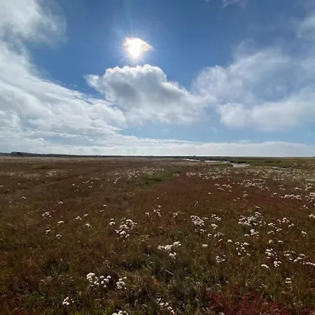 4 Person In Laeso-by Traum